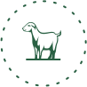 Icono que representa el chivo de Canillas de Aceituno - Gastronomía de Canillas